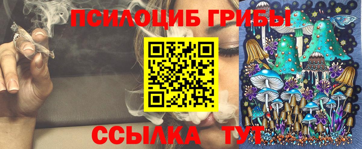 Псилоцибиновые грибы Magic Shrooms  Вход с VPN  продажа наркотиков  Сарапул  Псилоцибиновые грибы MAGIC MUSHROOMS 