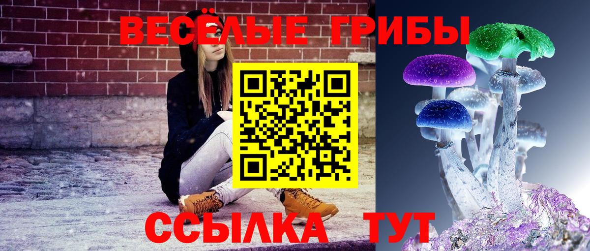 Псилоцибиновые грибы мицелий Сарапул